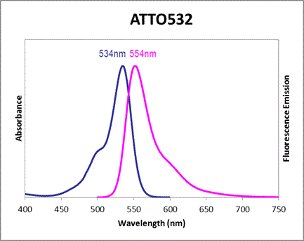 Absorbance and Fluorescence Emission