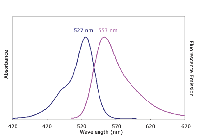 Absorbance and Fluorescence Emission